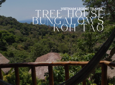 TREE HOUSE BUNGALOWS KOH TAO