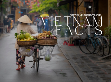 Vietnam Facts