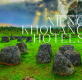Xieng Khouang Hotels